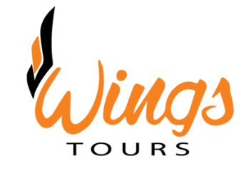 Wings Tours